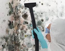 Best Mold Remediation for Healthcare Facilities  in Seven Corners, VA